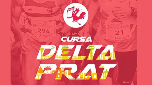 Banner de la carrera